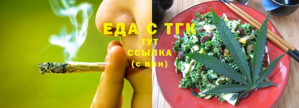 индика Елизово