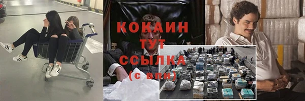 индика Елизово