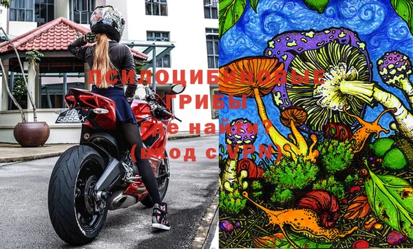 mdma Ельня