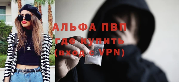 индика Елизово