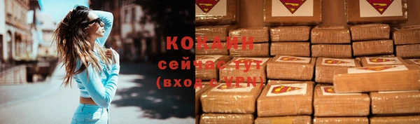 индика Елизово