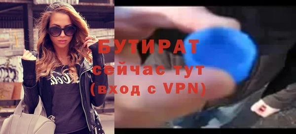 индика Елизово