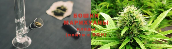 индика Елизово