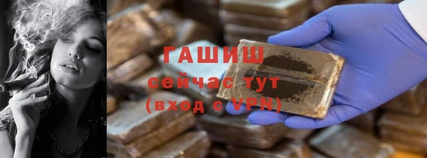 индика Елизово
