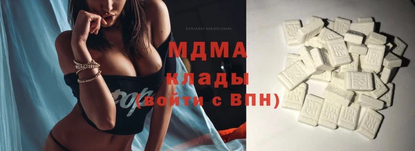 индика Елизово