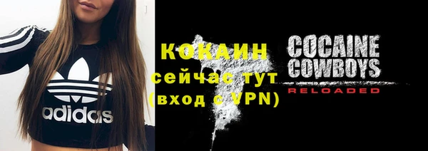 индика Елизово
