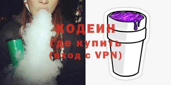 индика Елизово