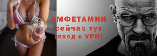 индика Елизово