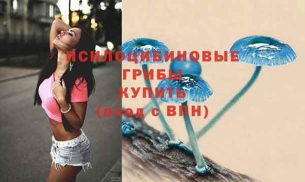индика Елизово