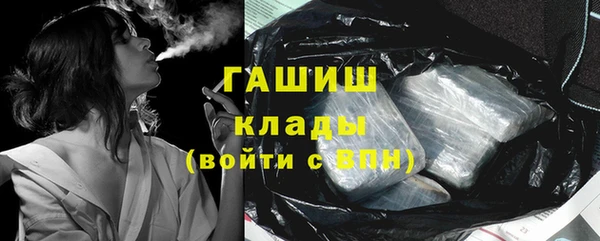 индика Елизово